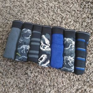 New Dinasour Boy's Briefs